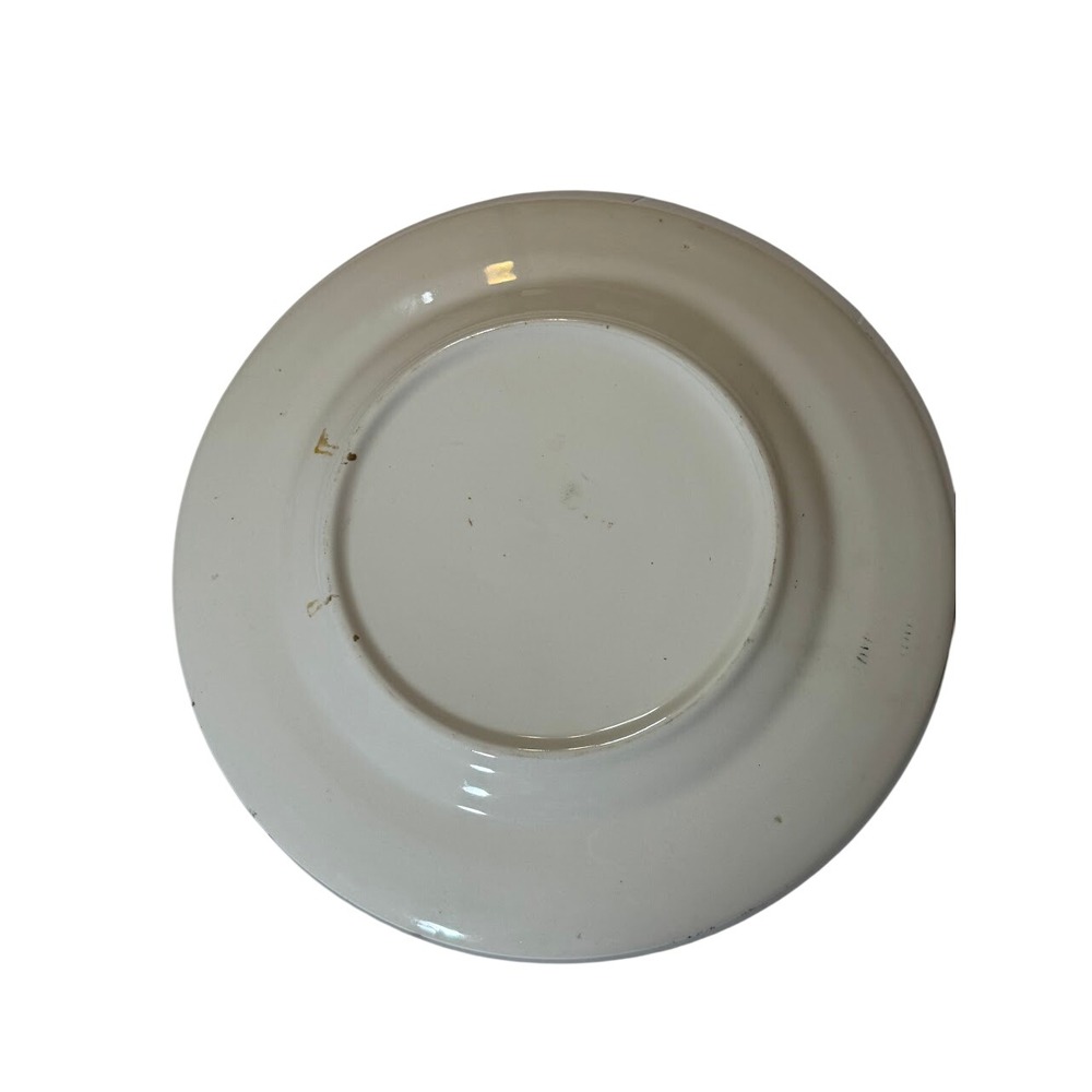 Tennessee Souvenir Plate Vintage Homer laughlin Morocco Pattern 1960s Mustard - Picture 4 of 9